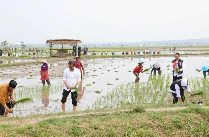 penghasil beras terbesar di Jawa Timur