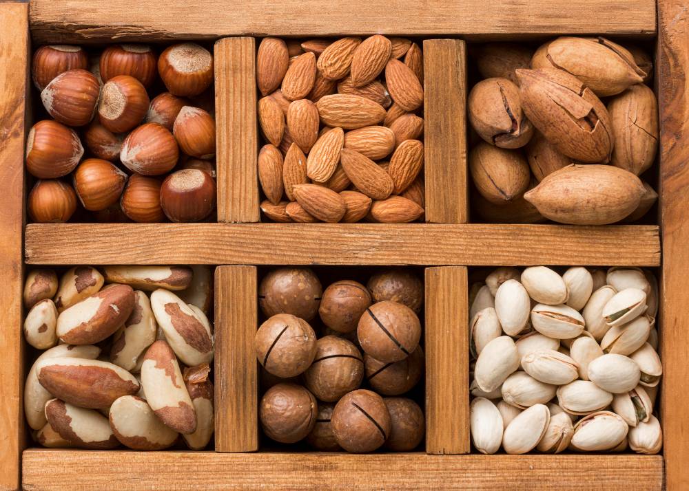 ilustrasi 6 jenis kacang (freepik)