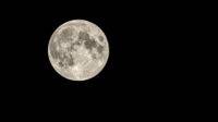 ilustrasi bulan bersinar terang, full moon (freepik)