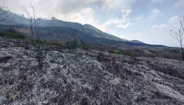 Kondisi kebakaran lahan di lereng Gunung Arjuno, Jawa Timur (BNPB)