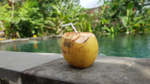 ilustrasi kelapa dengan sedotan di pinggir kolam renang (unsplash)