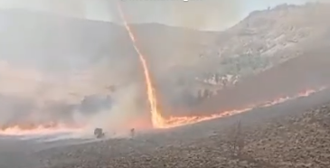 Detik-detik Muncul Tornado Api di Kawasan Savana Bromo (infomalangan)