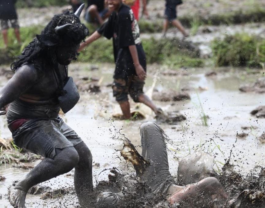 ilustrasi foto tradisi kebo keboan banyuwangi (pesona indonesia)