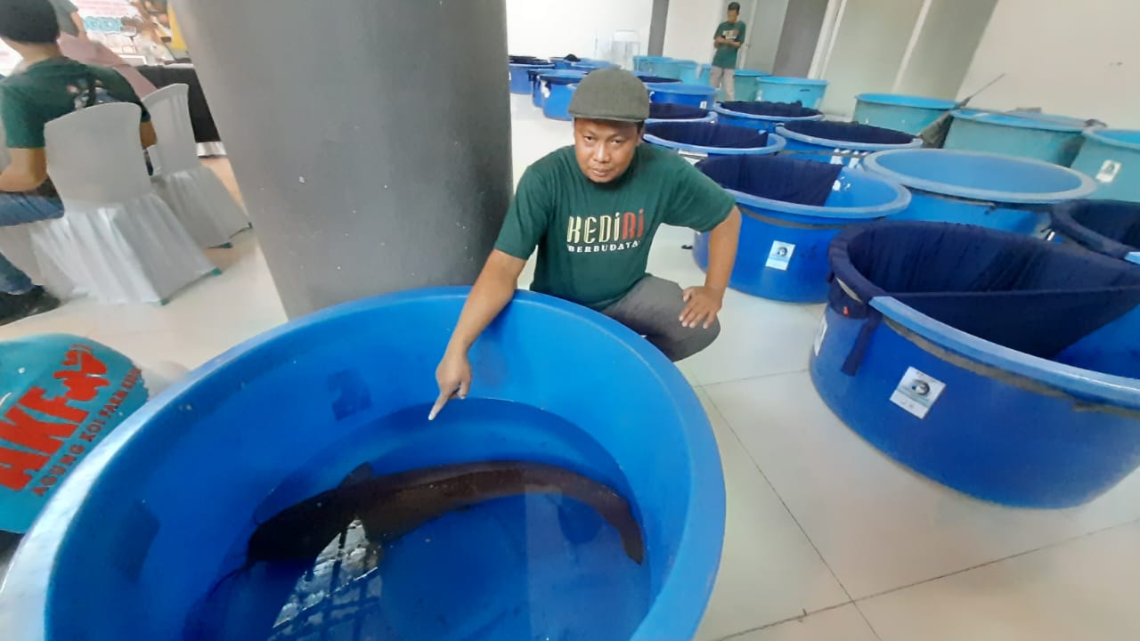 Foto: Panitia kontes ageng-agengan ikan lele saat menunjukkan ikan lele. (Anis/metaranews)