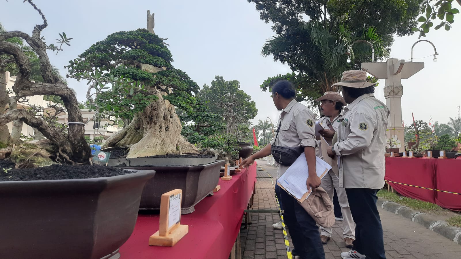 Bonsai Kediri