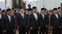 Penasihat Khusus Presiden