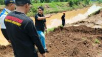 Anggota Komisi D DPRD Jatim Khusnul Arif meninjau tanggul jebol di Desa Kaliboto, Tarokan, Kediri (Ubaidhillah/Metara)