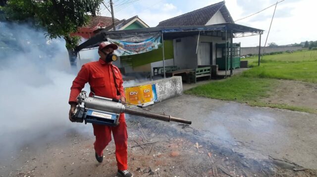 Chikungunya Kediri