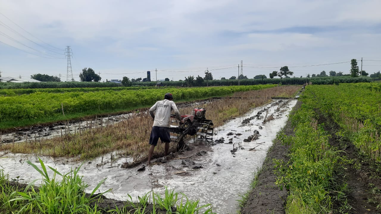 Petani Kediri