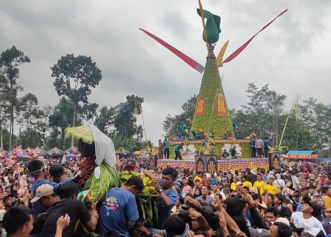 Andum Alpukat Jombang