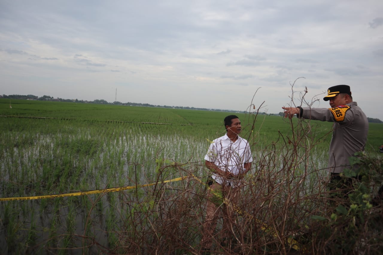 Mutilasi Jombang