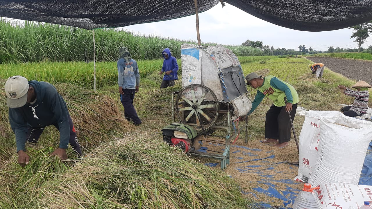 Gabah Kediri