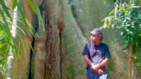 Leses Purba Kediri