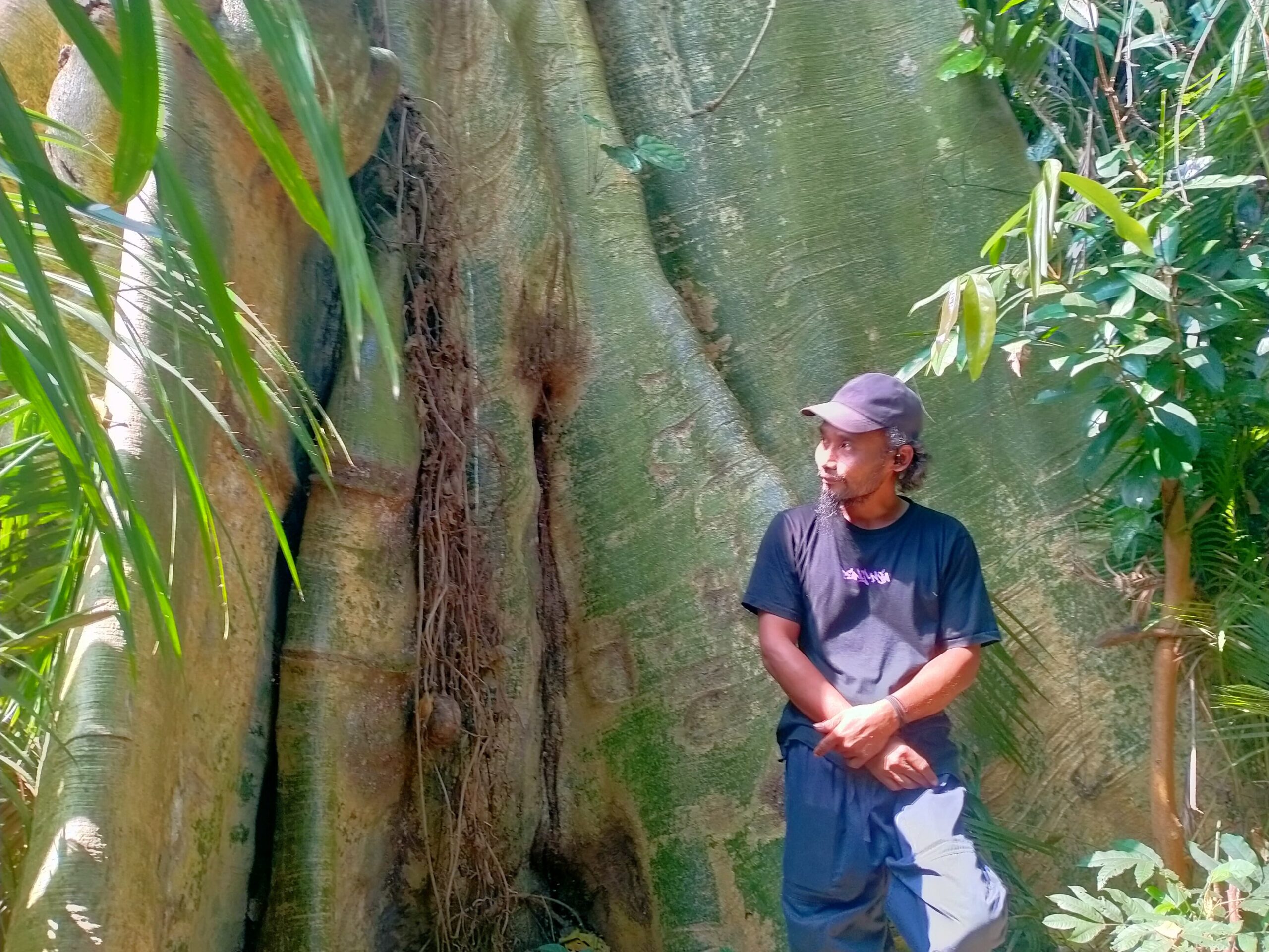 Leses Purba Kediri