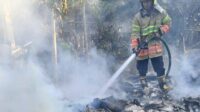 Caption : Petugas pemadam kebakaran Kabupaten Kediri, secara bergantian memadamkan api di rumah Siti Chotijah, Kecamatan Plosoklaten, Minggu (20/7/2025). Dock : Kaleb (Plt. Kasatpol PP Kabupaten Kediri) ‎