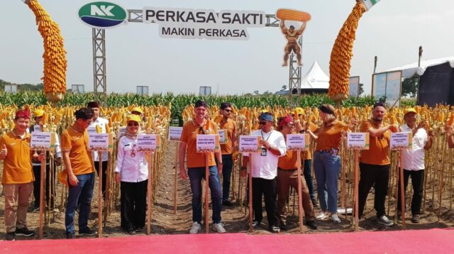 NK Perkasa Sakti
