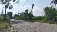 Jalan Rusak Sambirejo