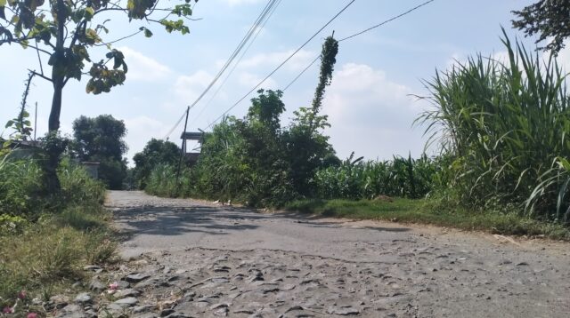 Jalan Rusak Sambirejo