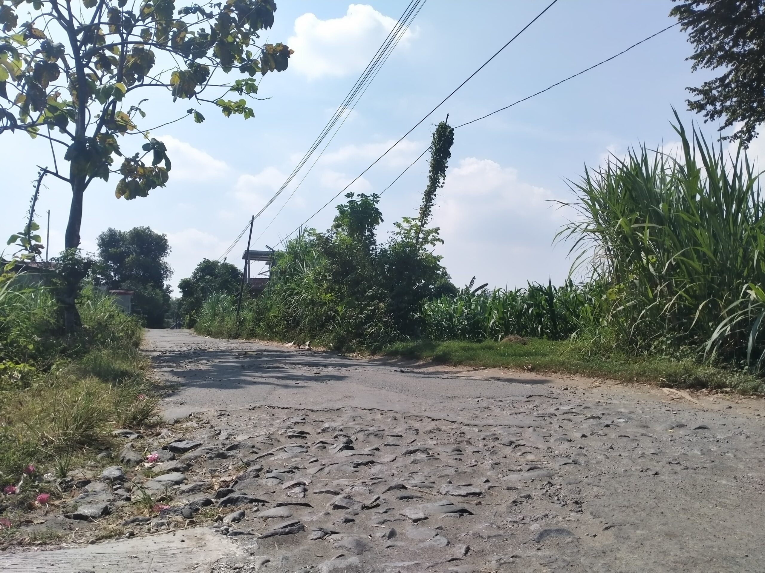 Jalan Rusak Sambirejo