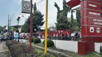 Jember