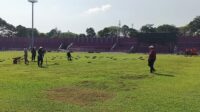 Persik Kediri