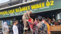 Tulang Bawang