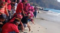 Jember
