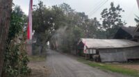 Kediri