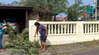 Tulang Bawang