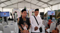 Jember