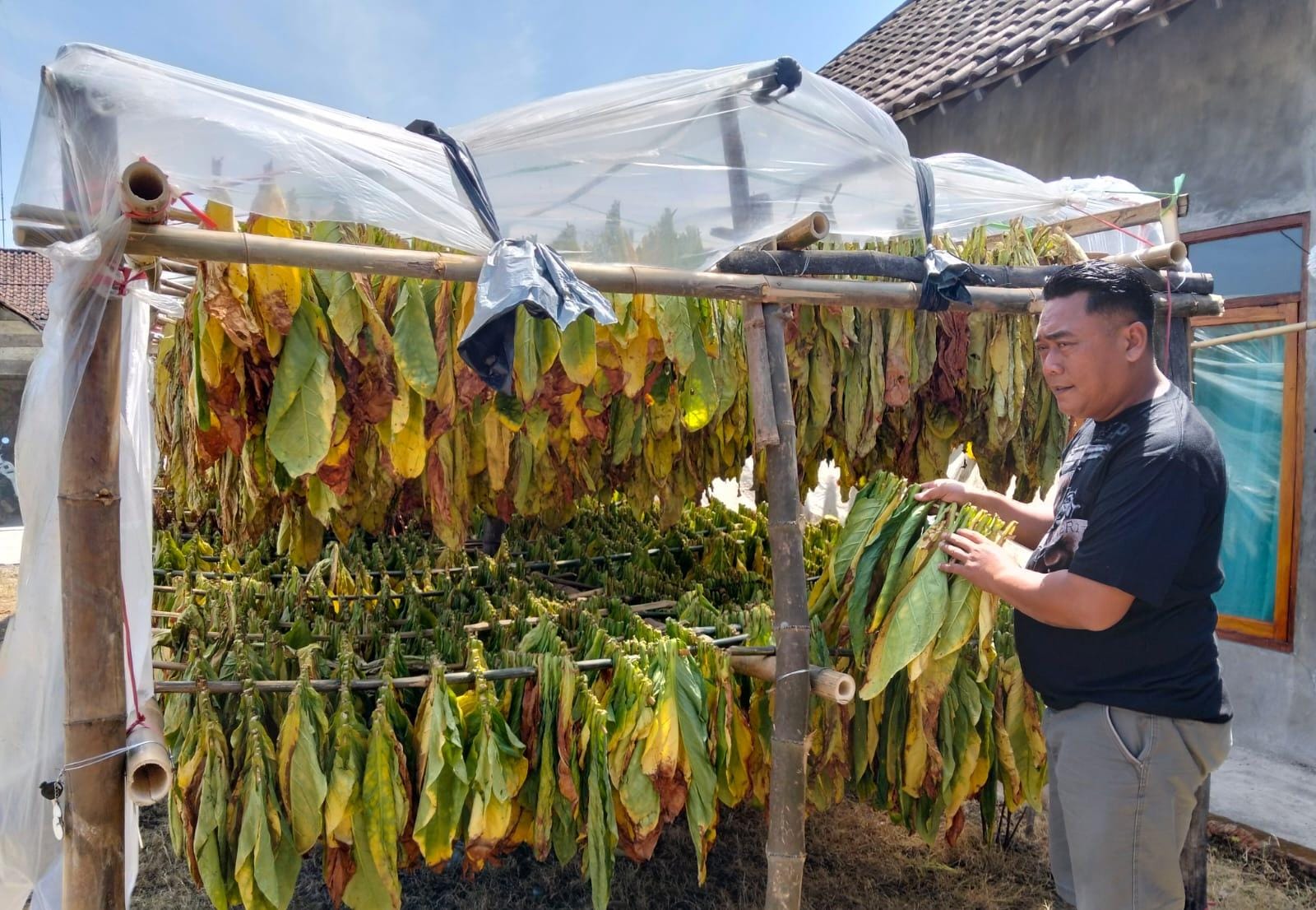 Jombang