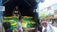 Jember