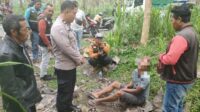 Blitar