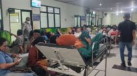 Jember