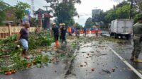 Blitar