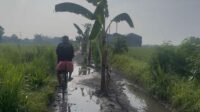 Jombang