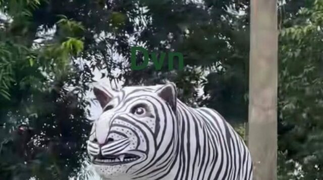 Postingan Macan Putih di Desa Balongjeruk yang diunggah akun Medsos (Instagram)