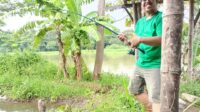Sungai Brantas