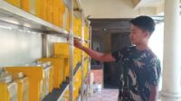 Peternak ikan cupang di Kediri (Darman) Peternak ikan cupang di Kediri (Darman)
