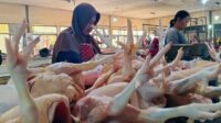 Kediri Kediri
