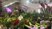 IMG-20261010-WA0006